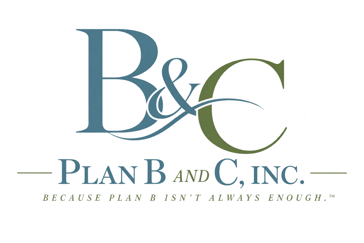 Plan B and C business ownership advisor and strategic advisory