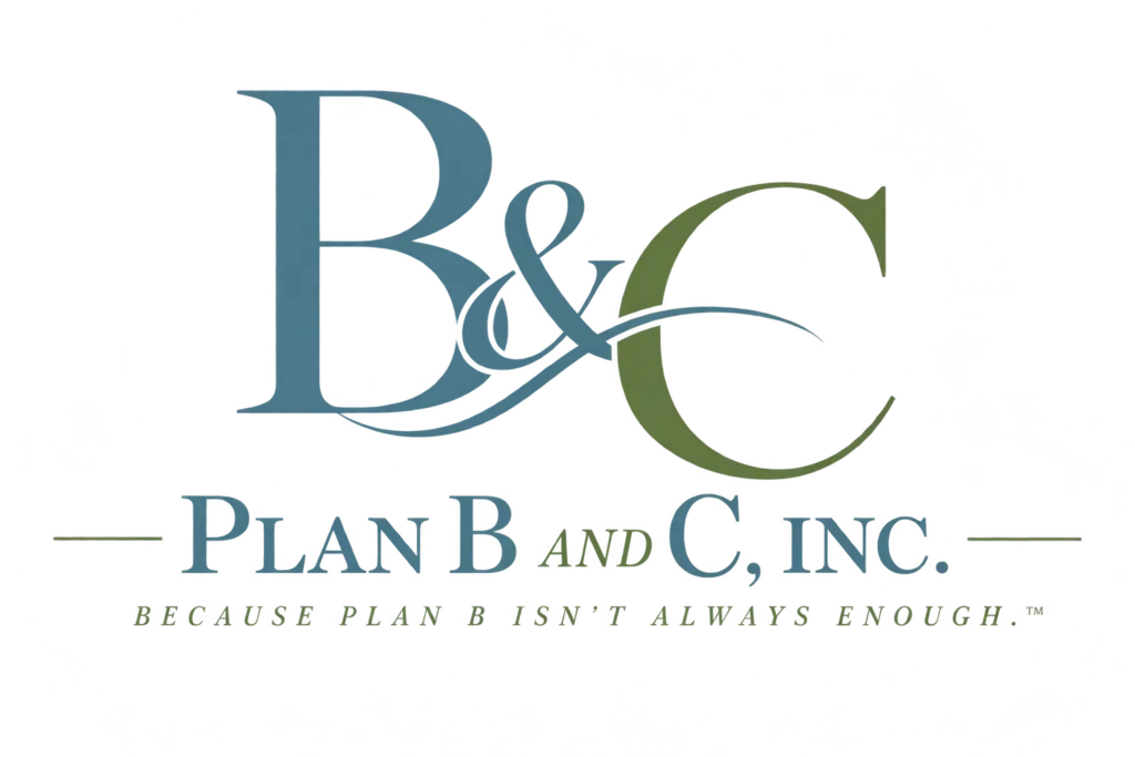 Plan B and C business ownership advisor and strategic advisory